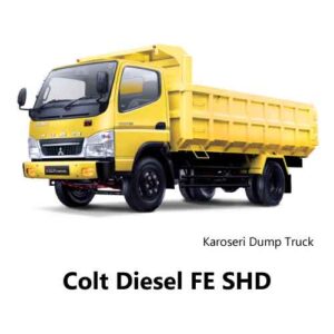 Colt Diesel FE SHD Dump Truck
